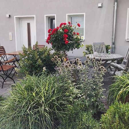 Ferienwohnung Naumann ショッテン エクステリア 写真